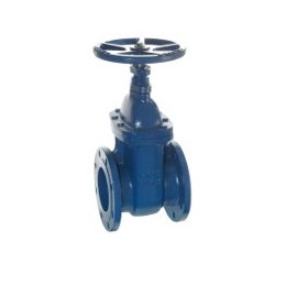 Cast Iron Gate valves PN16